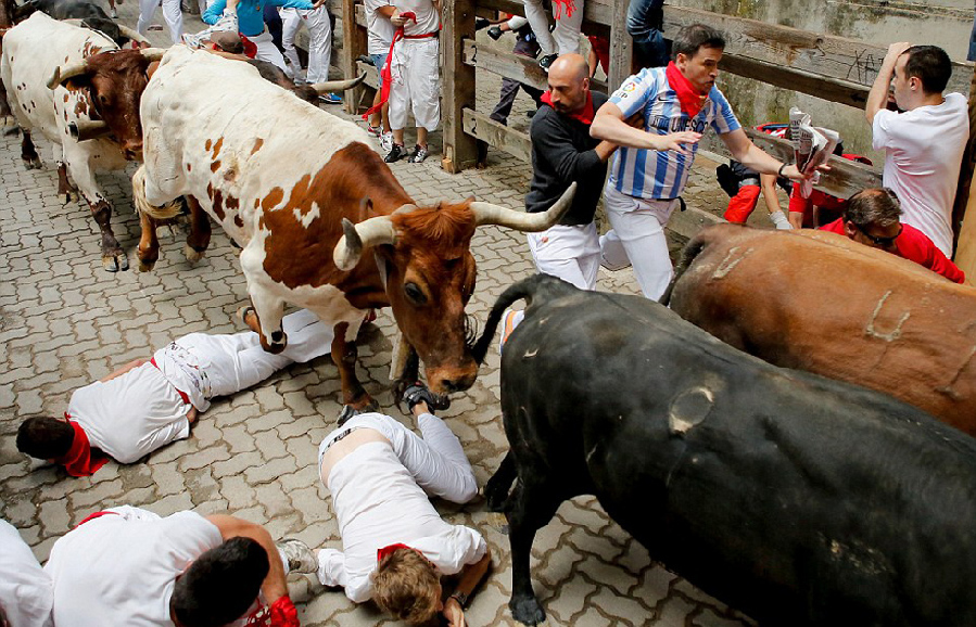 Ning重返赛场,爆冷首场状态出色,公牛观众沸腾!AYX中国官网